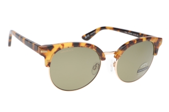 Serengeti Susan SS560002 (Shiny Tortoise Havana) Gepolariseerd