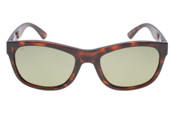 Serengeti Chandler SS557001 (Shiny Classic Tortoise) Gepolariseerd