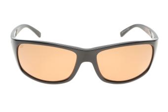 Serengeti Bormio SS009004 (Shiny Tortoise Black) Gepolariseerd