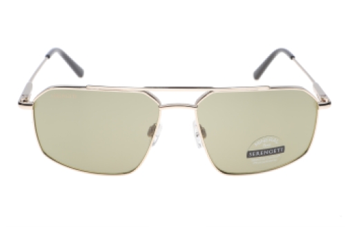 Serengeti Wayne SS546005 (Shiny Light Gold)