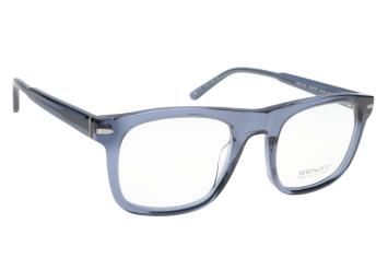 Serengeti Nelson SV591003 (Shiny Grey Blue) montuur