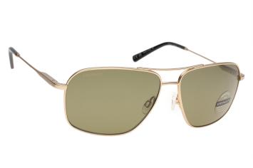 Serengeti Dorwinn SS578001 (Matte Light Gold) Gepolariseerd